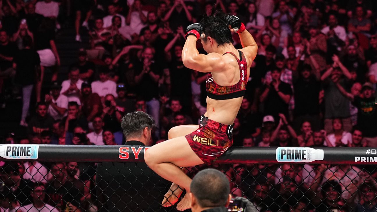 斗和其他多 斗和其他多